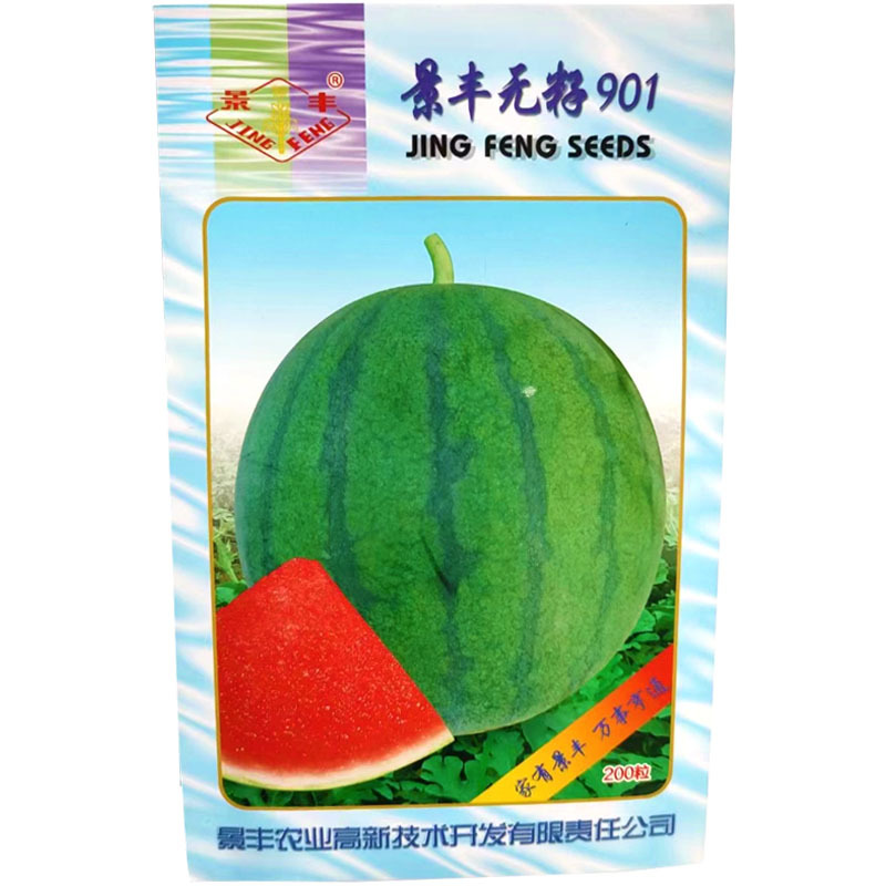 景丰无籽902黑皮西瓜种子高糖抗病高产杂交椭圆型露地大棚