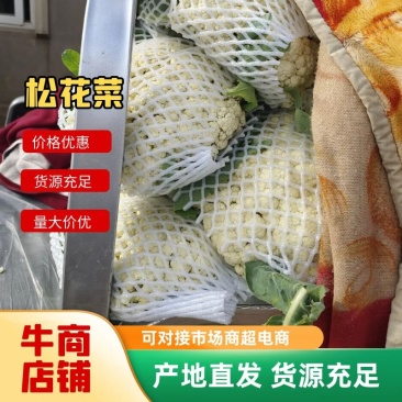 河北蔬菜原产地散花大量上市，质量有保证价格合理，色泽光滑