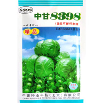 中甘8398早熟甘蓝种子20g圆形高产冬性较强抗干烧