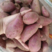 【紫薯】广东汕尾精品紫薯产地直发实力代办一条龙服务来电