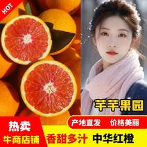 【精品】中华红橙橙子红心橙一手货源鲜果批发量大