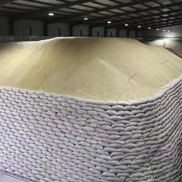 大量供应圆粒大米批发价1.59元一斤50000吨起订欢迎
