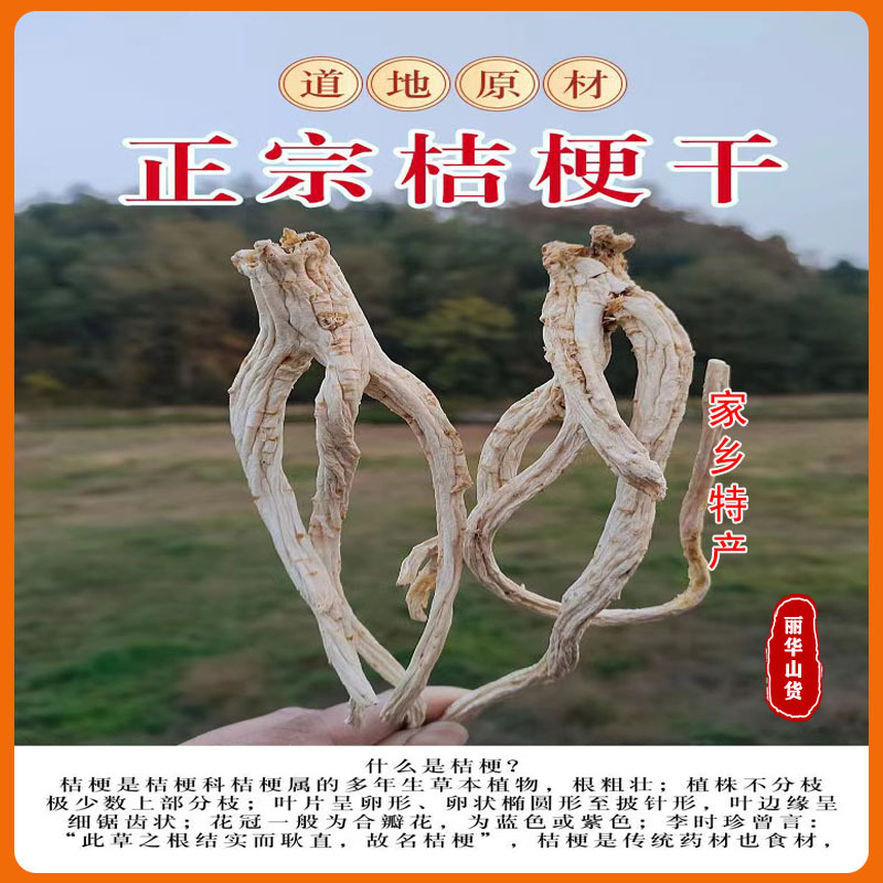 桔梗种苗根苗桐柏桔梗苗一年两年桔梗苗质量条形好成活高