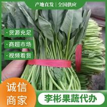 【大叶菠菜】精品菠菜产地直发价格便宜支持视频