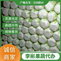 【精品白菜】北京3号产地直发货源充足品质上乘欢迎