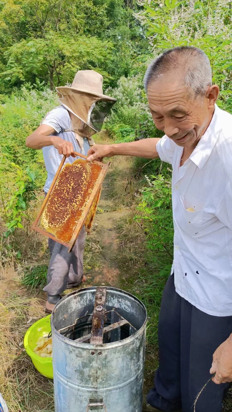 河南信阳野生土蜂蜜，品质高波美度好，支持视频看货选货