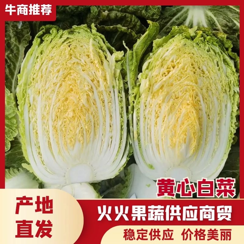 玲珑黄白菜黄心白菜产地直发品质保证量大从优