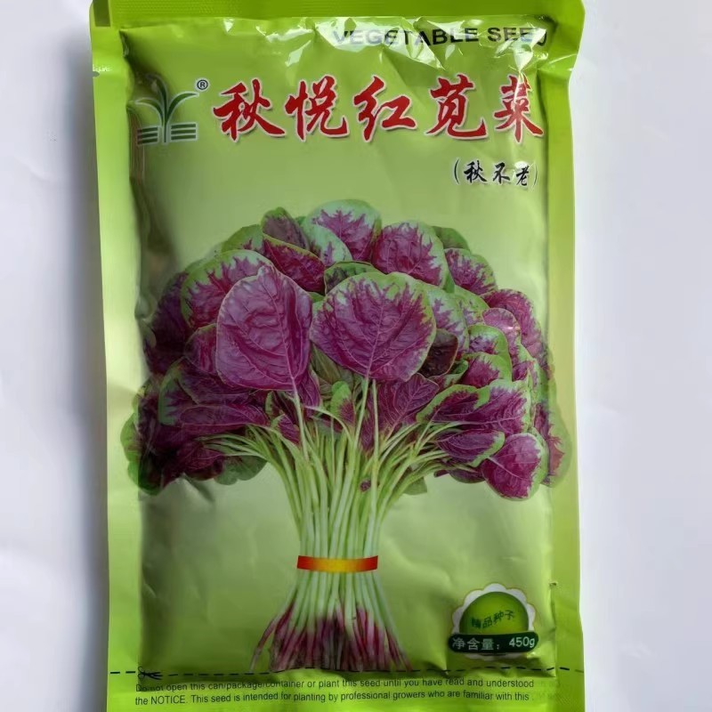 红苋菜种子，圆叶苋菜，耐热耐寒，耐抽苔，生长快，基地专用