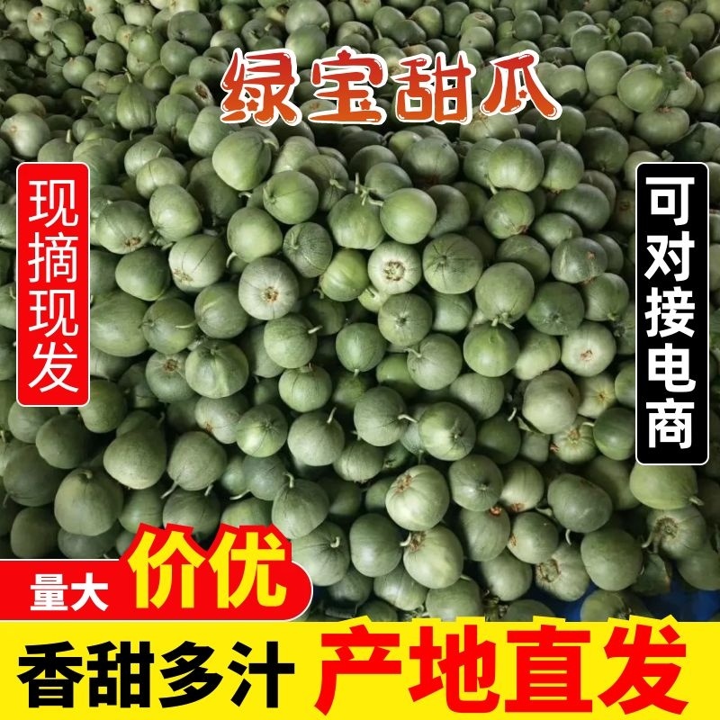 绿宝甜瓜基地直供，甜瓜马上大量上市可对接电商超市可代发货