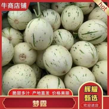 梦露流星甜瓜蜜露甜瓜承接商超电商社团代收代发全国