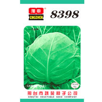 8398甘蓝种子早熟高产绿甘蓝蔬菜籽干烧心病圆白菜种子
