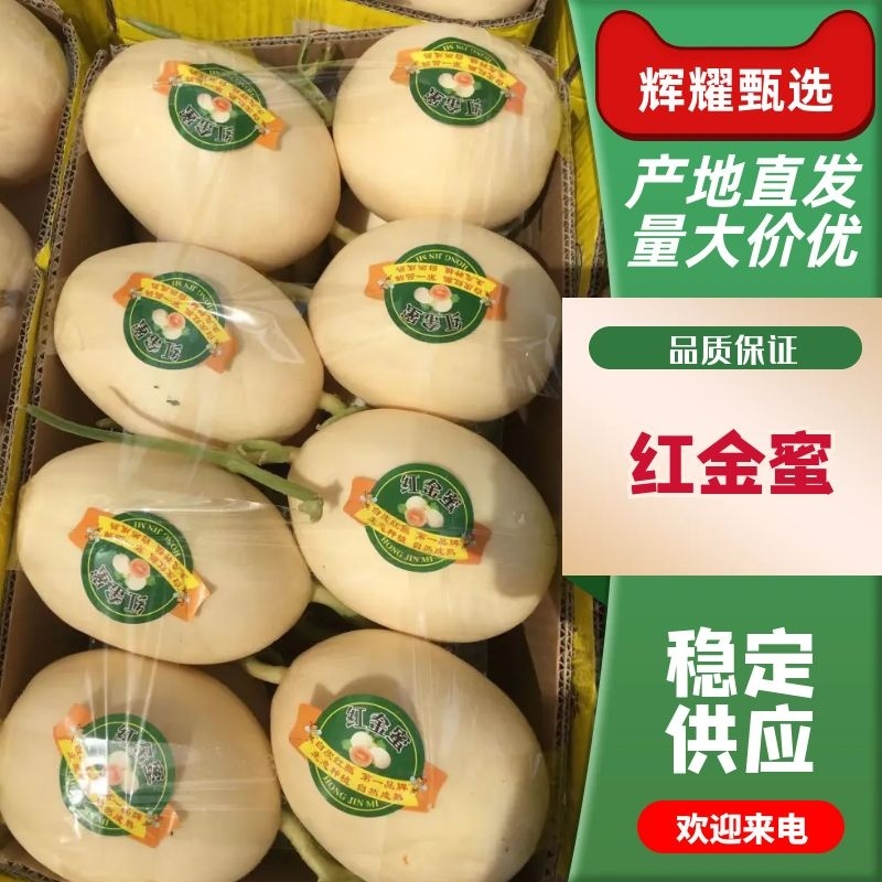 红金蜜甜瓜莘县精品蜜瓜货源充足代收代发全国发货
