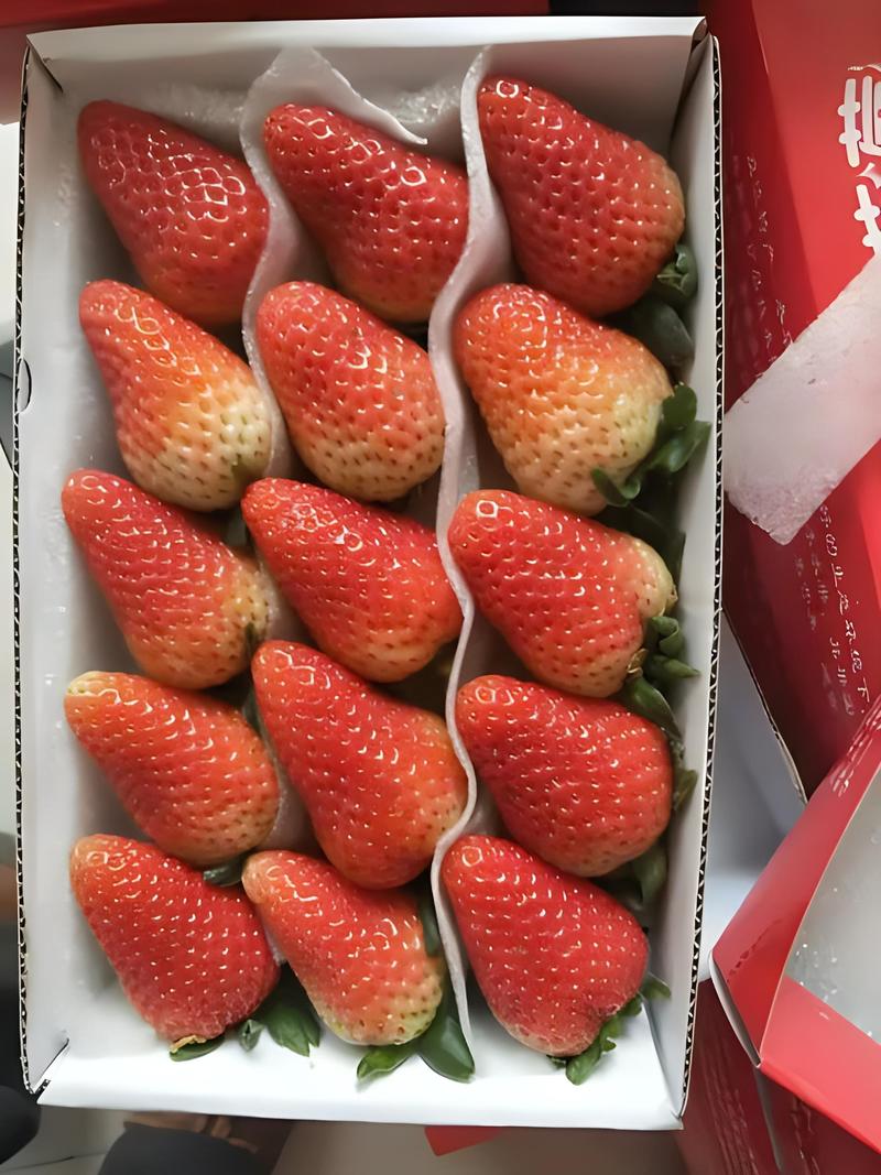 蒙特瑞四季草莓，香甜可口，味美价廉，优质草莓基地