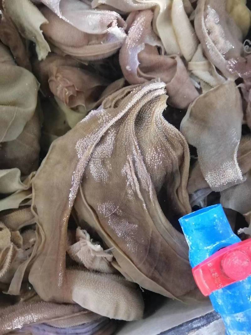 【精】黄牛大叶片牛毛肚，川渝地区合作火锅店一千余家