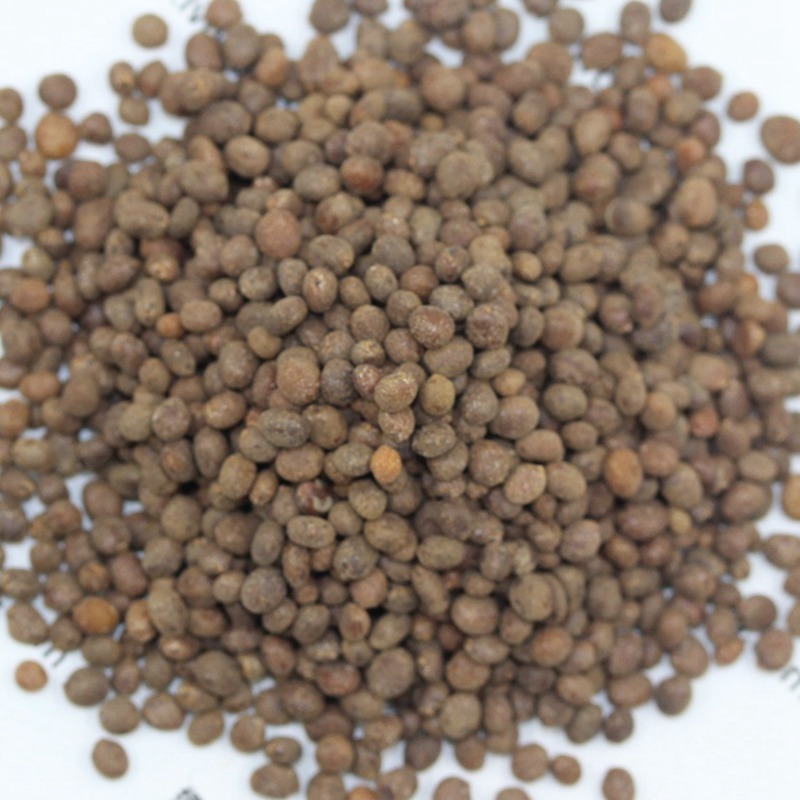 茶花凤仙种子红色重瓣指甲花四季种植阳台盆栽庭院种植