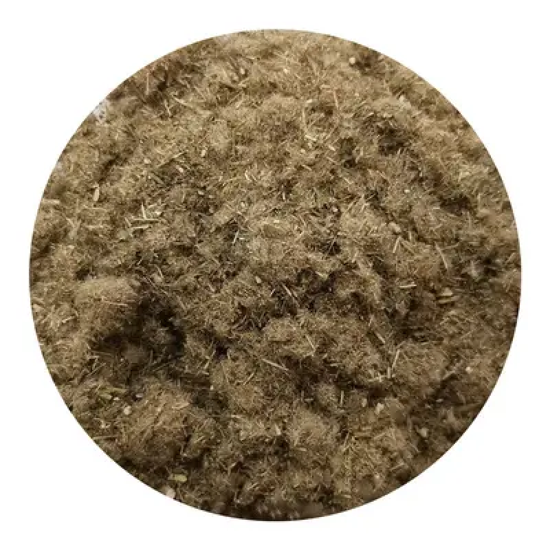 芦苇种子黄菖蒲香蒲种子千屈菜再力花种子水葱水生植物种子