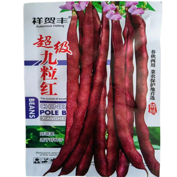 早熟九粒红豆角种子紫红架豆种子春秋芸豆种籽耐运输