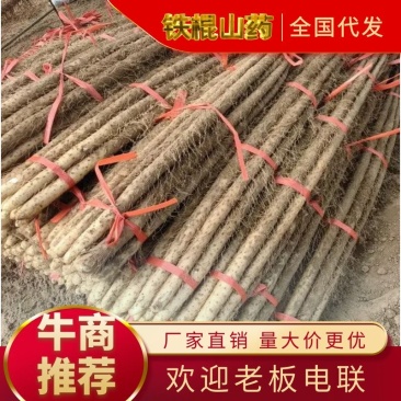 【铁棍山药】超市促销铁棍山药20/25以上通货
