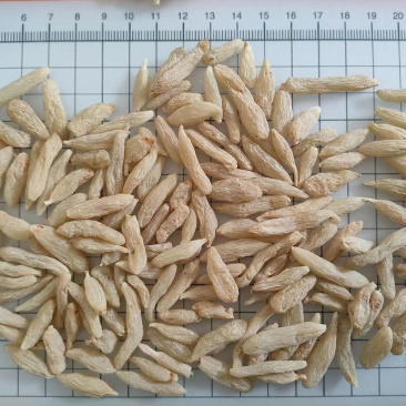 麦冬川麦冬涪城麦冬选货统货新货上市
