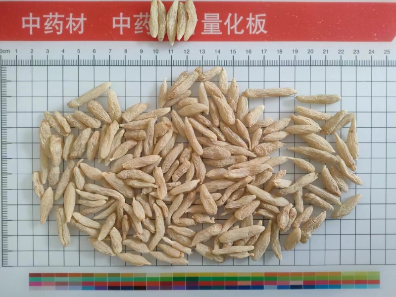 麦冬川麦冬涪城麦冬选货统货新货上市
