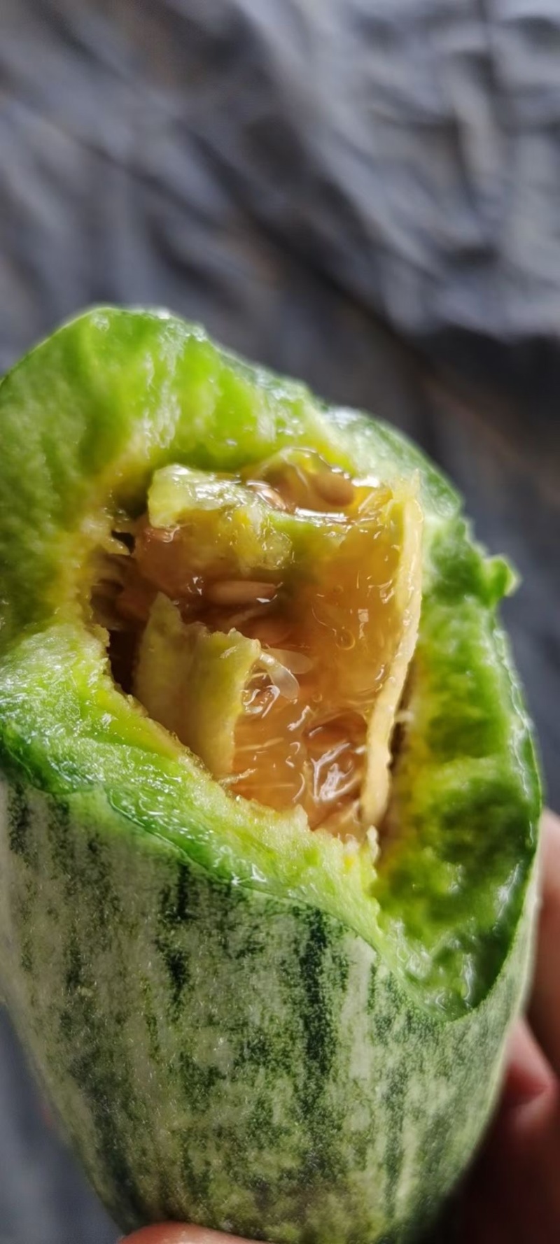 【精品】羊角蜜品质甜瓜优质货发往全国市场，专业代办团队