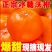 【实力供货】精品沃柑口感爆甜产地直发价格优惠可随行就市
