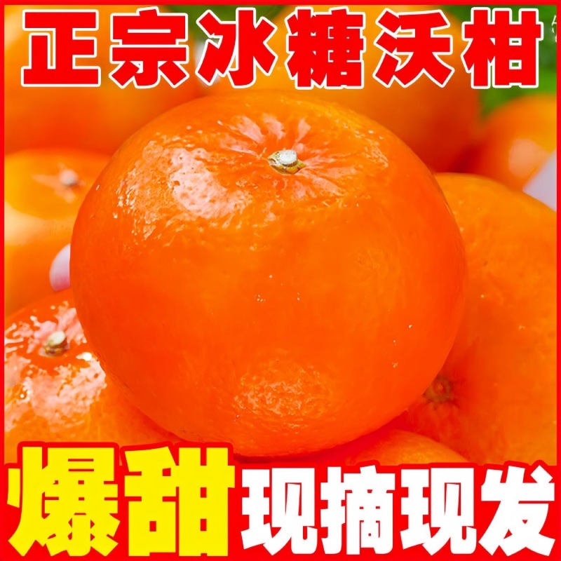【实力供货】精品沃柑口感爆甜产地直发价格优惠可随行就市