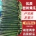 精品暖棚密刺黄瓜产地直发欢迎来电咨询看货