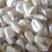 白糯玉米糁、白糯玉米碴、白粘玉米渣厂家供应品质保证全国发