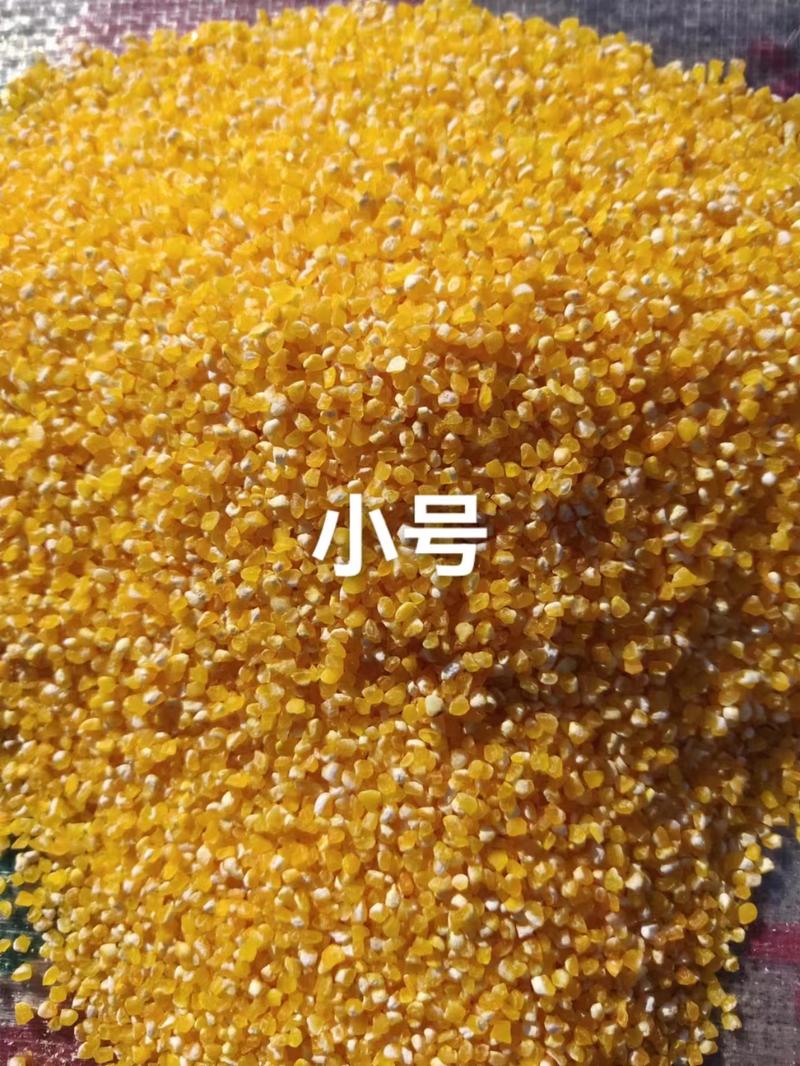 黄糯玉米糁、黄糯玉米碴、黄粘玉米渣大量供应品质保证全国发