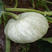 银栗南瓜种子贵族板栗南瓜种子甘面中早熟发芽率高