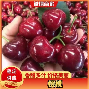 山东红灯大樱桃美早樱桃大量上市可对接商超欢迎咨询