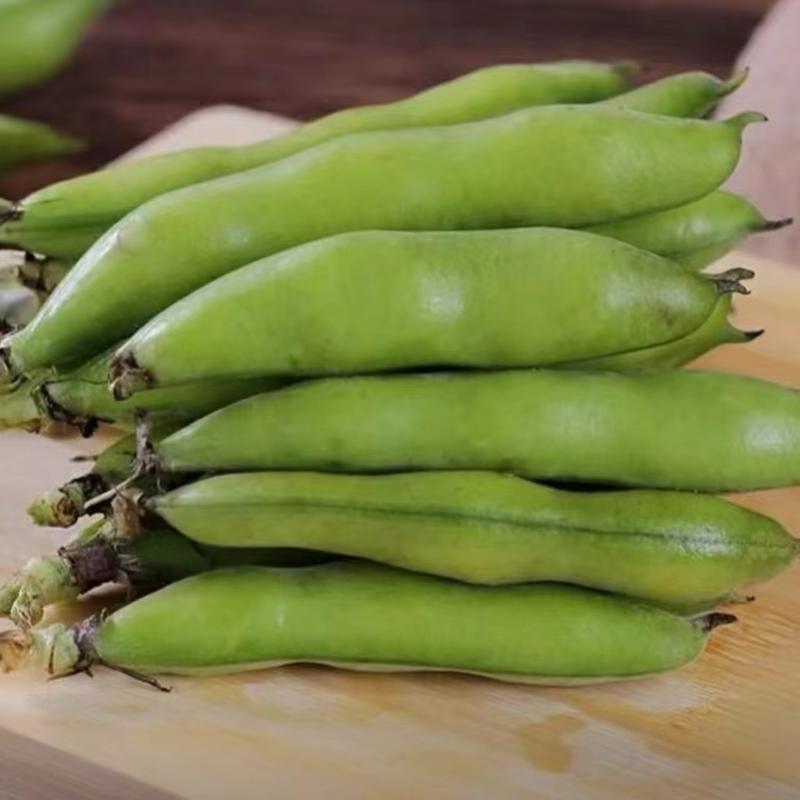 精品新鲜蚕豆绿蚕豆质量保障量大从优全国可发货