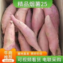 精品烟薯25产地直发品质保证对接市场商超欢迎