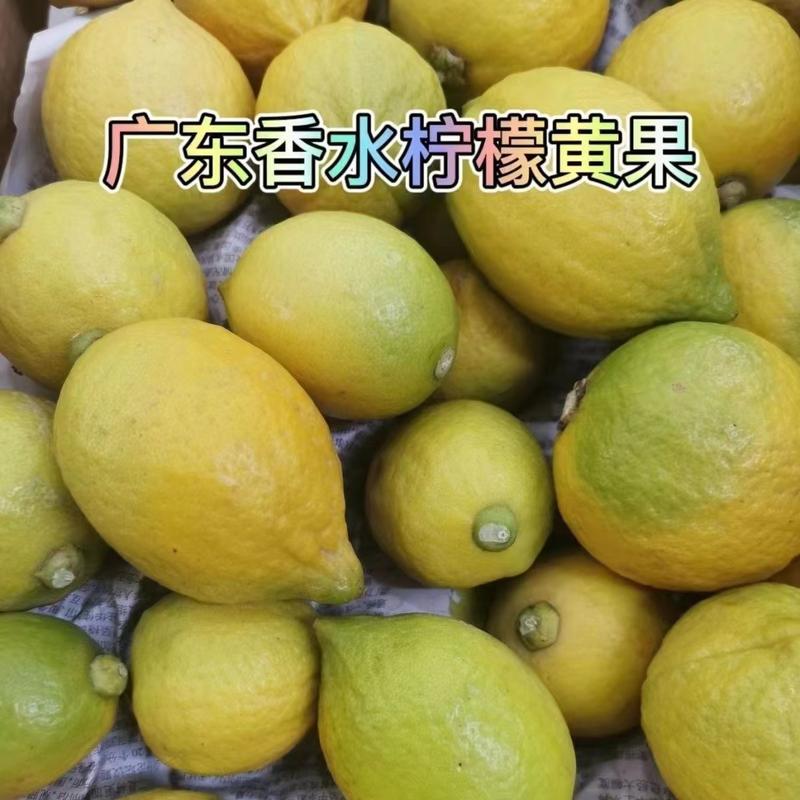 【万亩鲜柠】香水柠檬优质供货产地直发可对接商超奶茶店价优