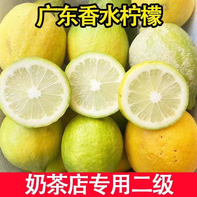 【一件代发】优质供货，香水柠檬，无籽多汁，全国代发，价优