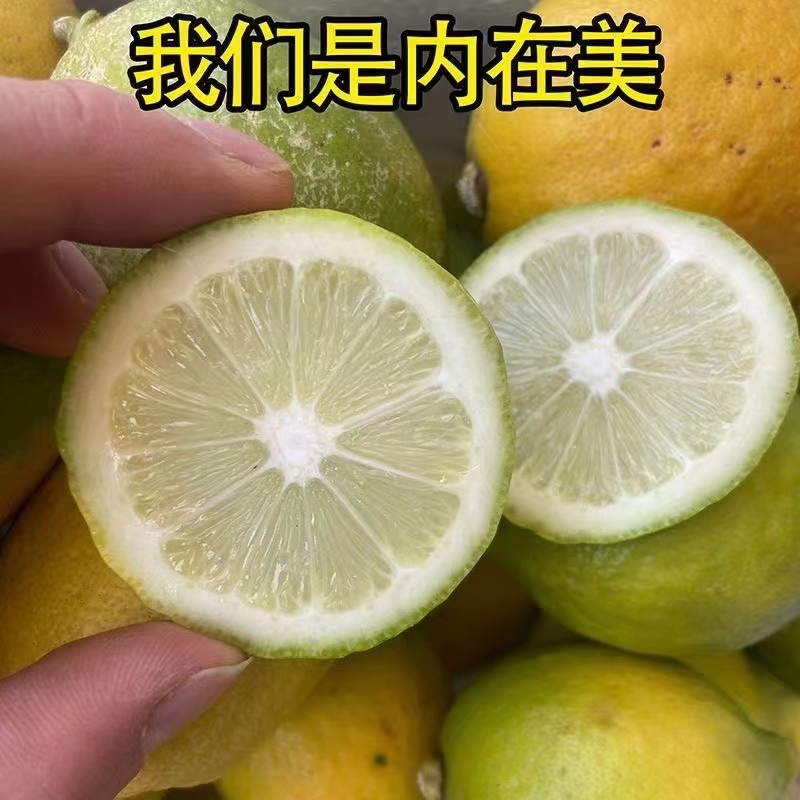 【一件代发】优质供货，香水柠檬，无籽多汁，全国代发，价优