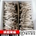 【优质精品】新鲜瓶栽鹿茸菇/产地直发/一件代发