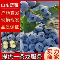 精品蓝莓瑞卡薄雾莱克西绿宝石蓝莓精选大果保证品质