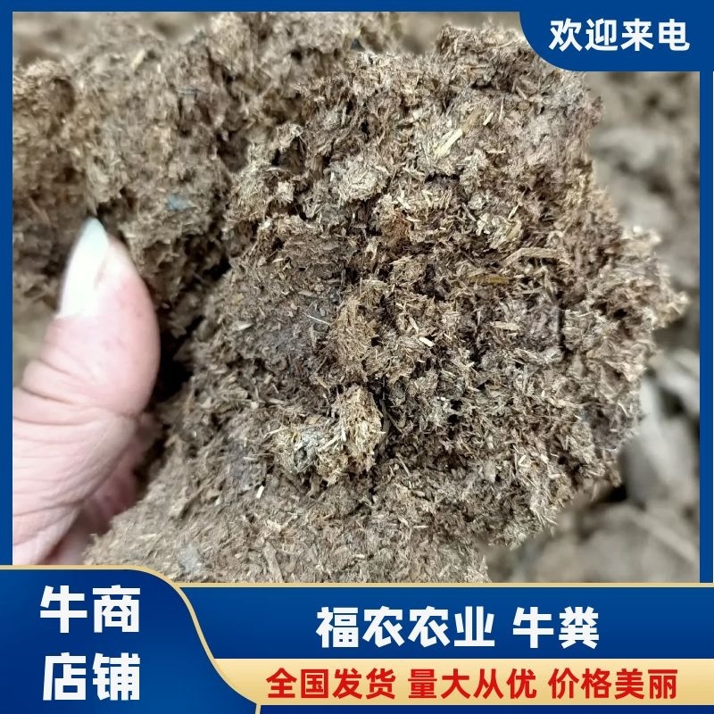 干牛粪蘑菇专用肥姬松茸专用肥果树专用有机肥可视频拿货看货