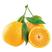 精品黄果柑量大从优产地发货欢迎全国老板前来考察洽谈