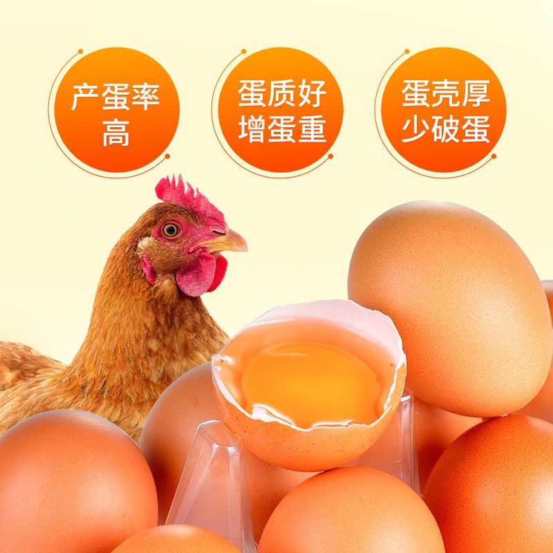 鱼肝油鸡鸭鹅禽用增蛋宝维生素ade粉蛋禽芦丁鸡提高产蛋