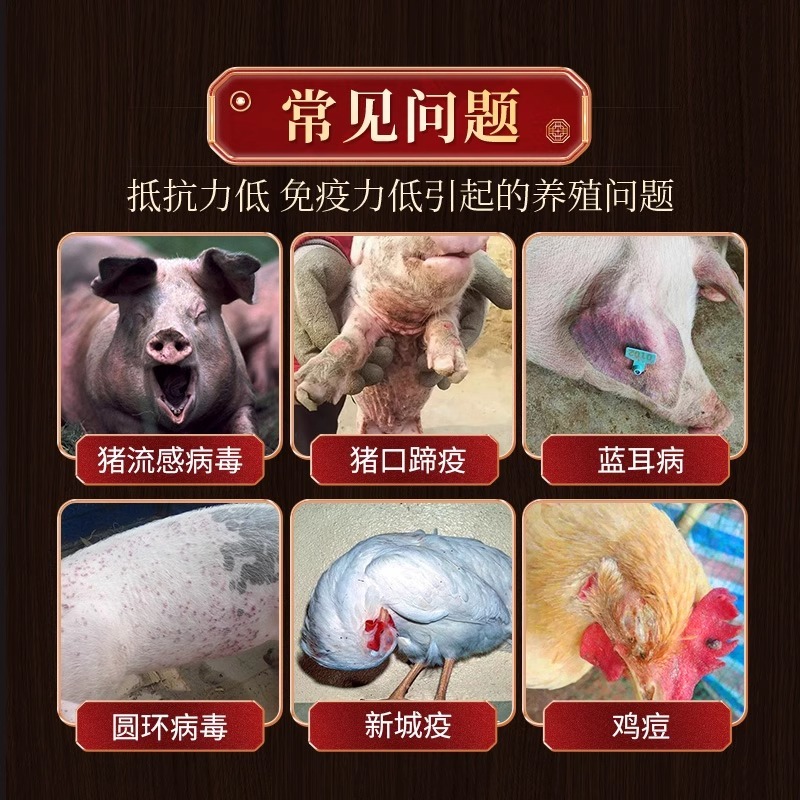 可溶性粉多维黄芪多糖提取物颗粒饲料包邮正品