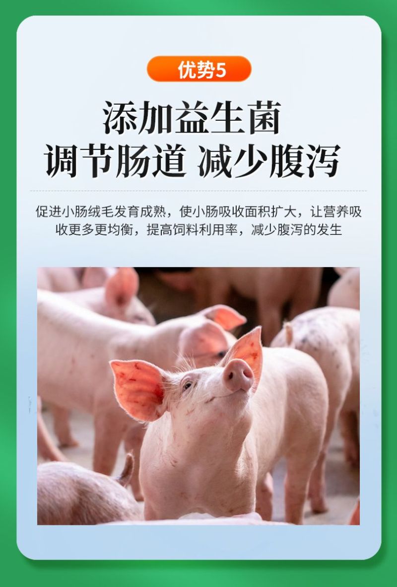 仔猪保育小猪促生长促消化吸收防拉稀腹泻赖氨酸盐饲料