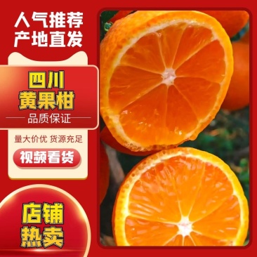 汉源黄果柑基地，一手货源欢迎各大电商，市场，团购前来对接