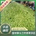 【精品】牛奶枣，果园一手货源，大量果园，视频看货，欢迎来电