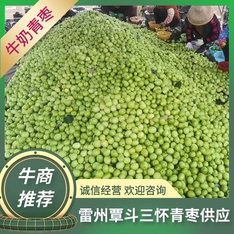 【精品】牛奶枣，果园一手货源，大量果园，视频看货，欢迎来电