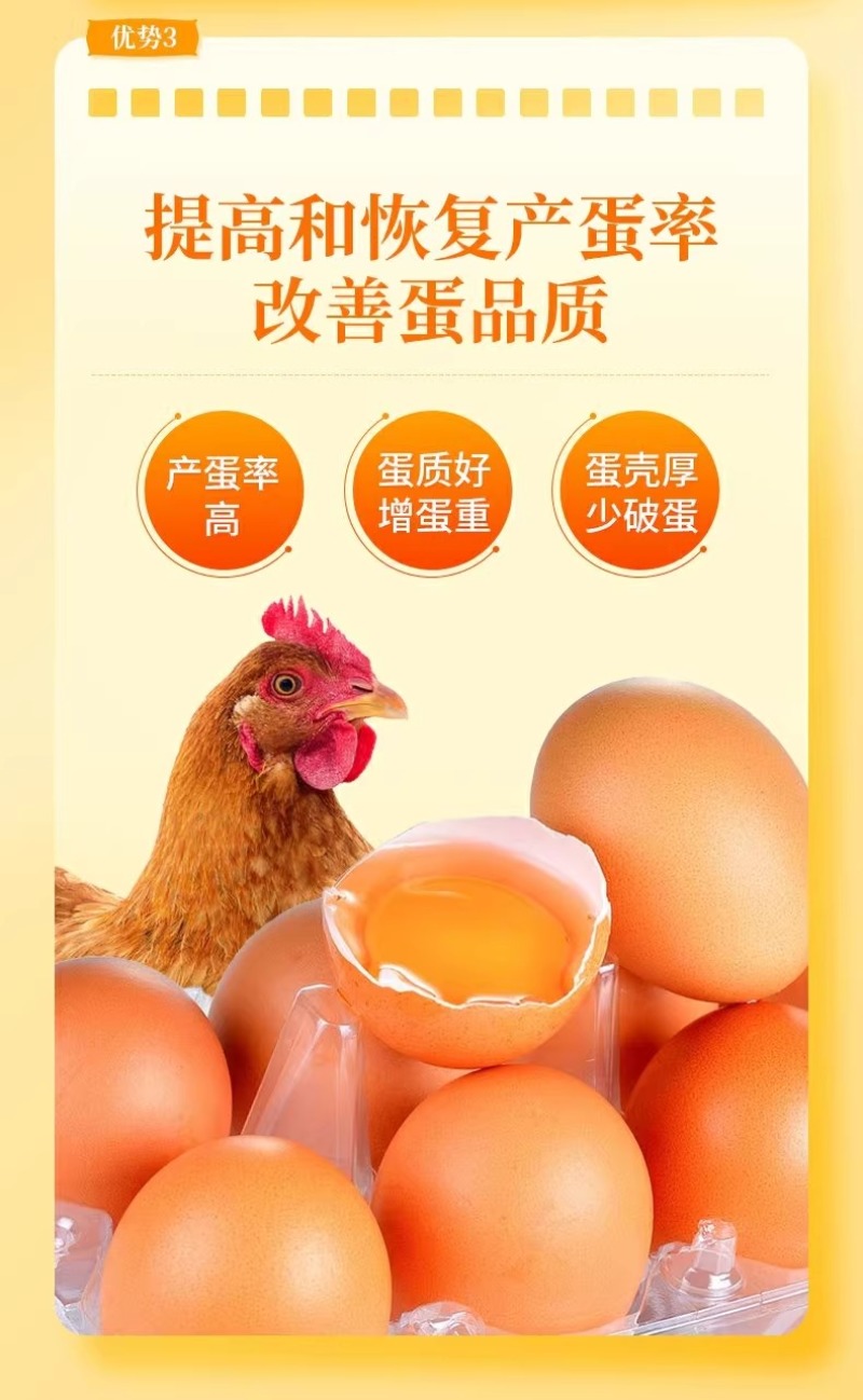 鱼肝油蛋鸡猪牛羊鸡鸭鹅禽多维浓缩鱼油饲料添加剂维生素