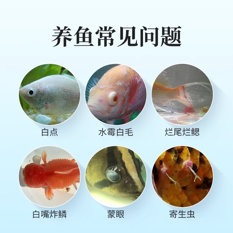 亚甲基蓝鱼药烂身烂尾专治水族专用水霉病白点净鱼缸消毒杀菌