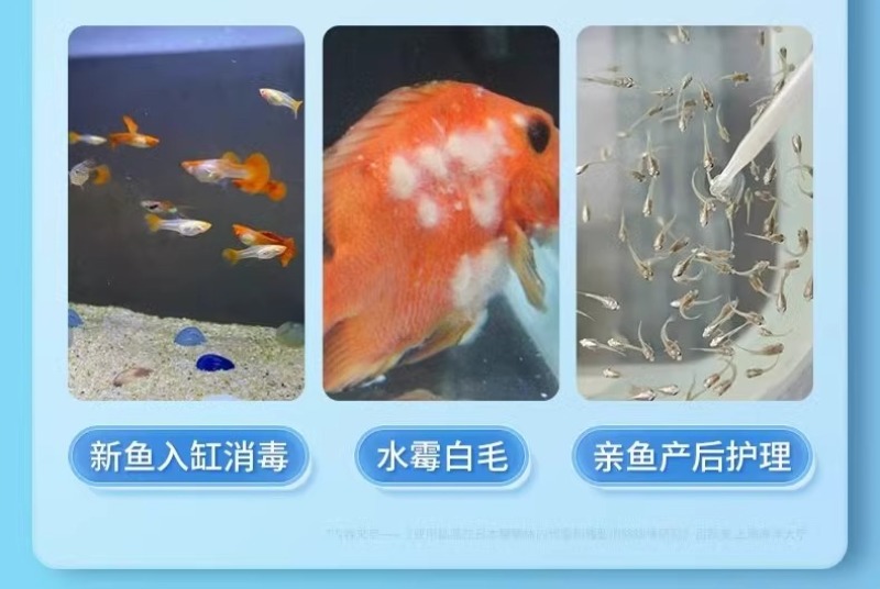 亚甲基蓝鱼药烂身烂尾专治水族专用水霉病白点净鱼缸消毒杀菌